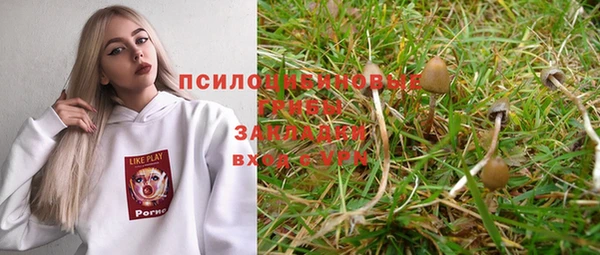 дживик Арсеньев