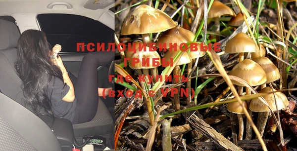 ALPHA-PVP Аркадак